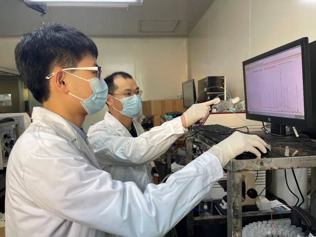 2025新澳门开门原料免费