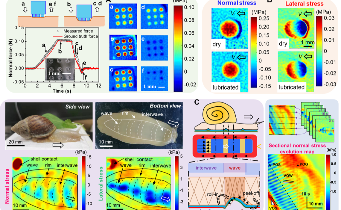 2025新澳门开门原料免费