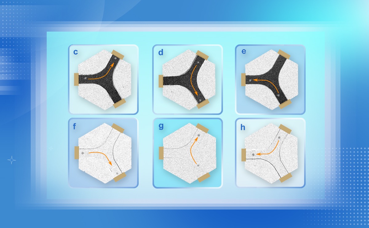 2025新澳门开门原料免费