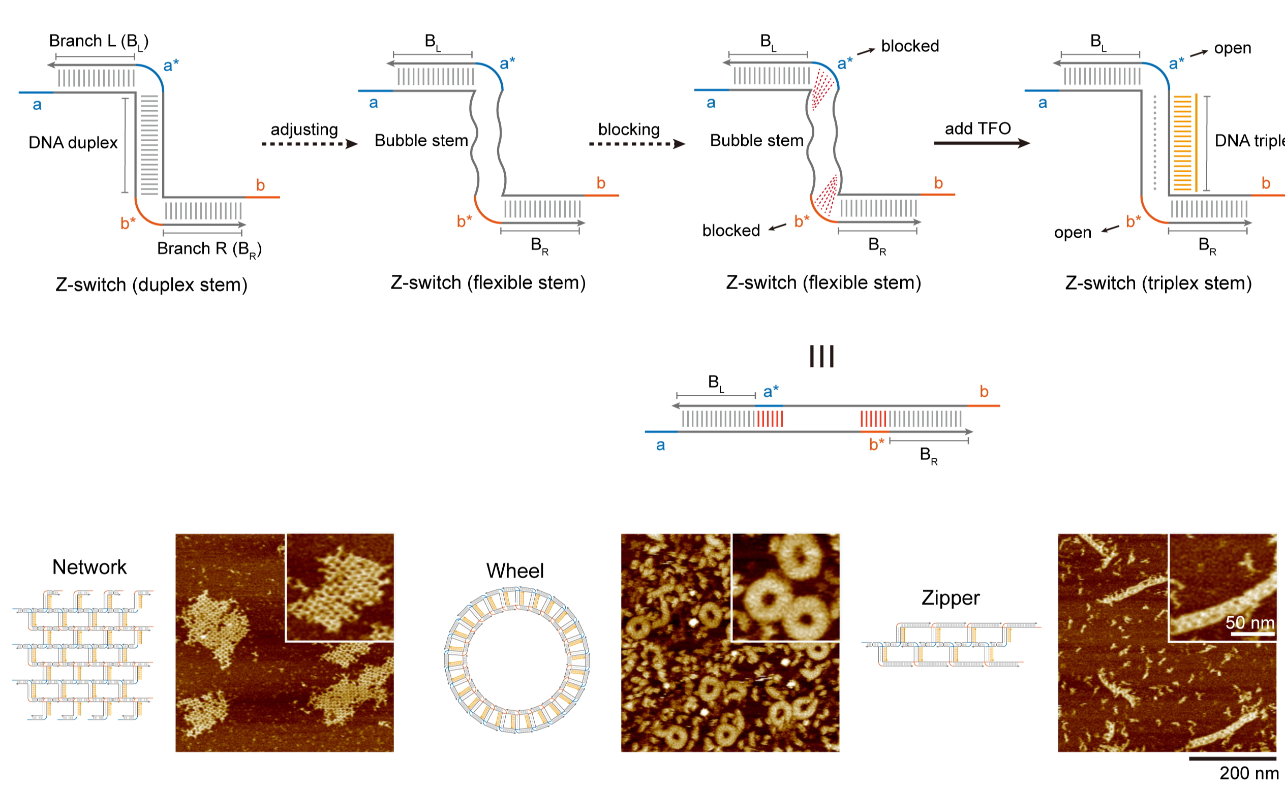 2025新澳门开门原料免费