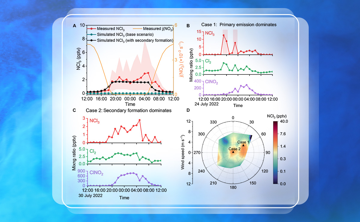 2025新澳门开门原料免费