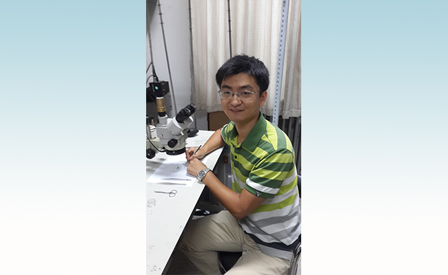 2025新澳门开门原料免费