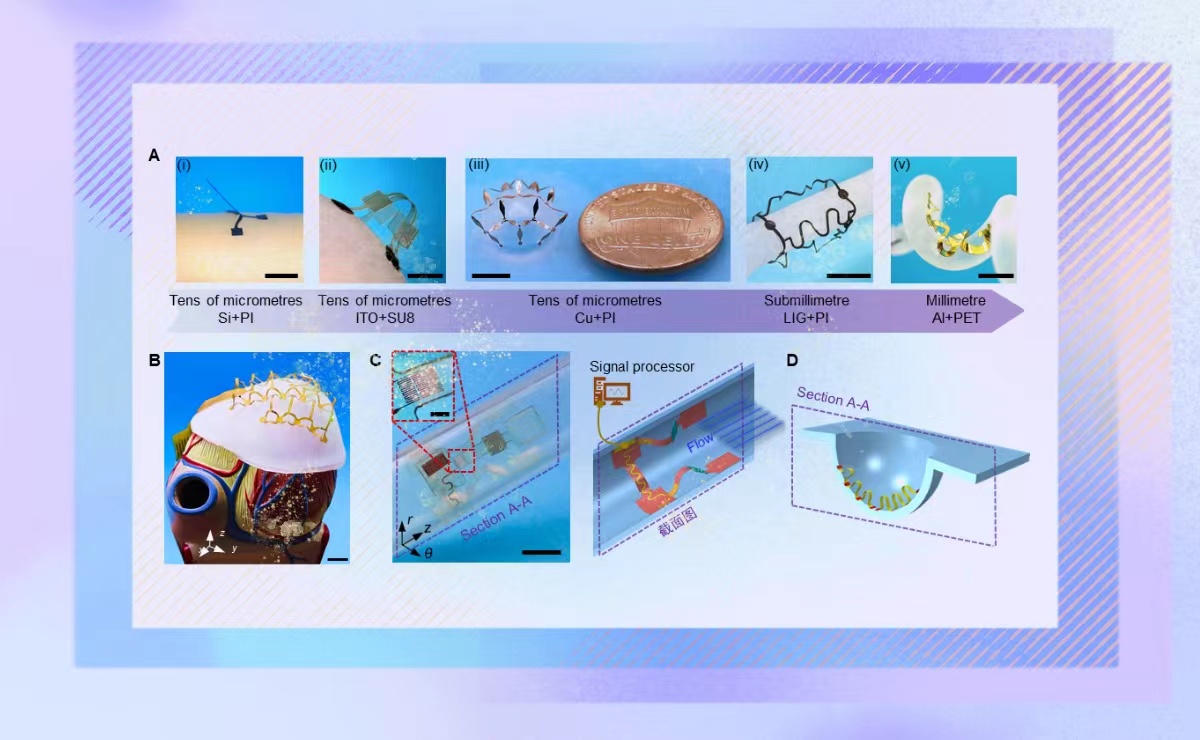 2025新澳门开门原料免费