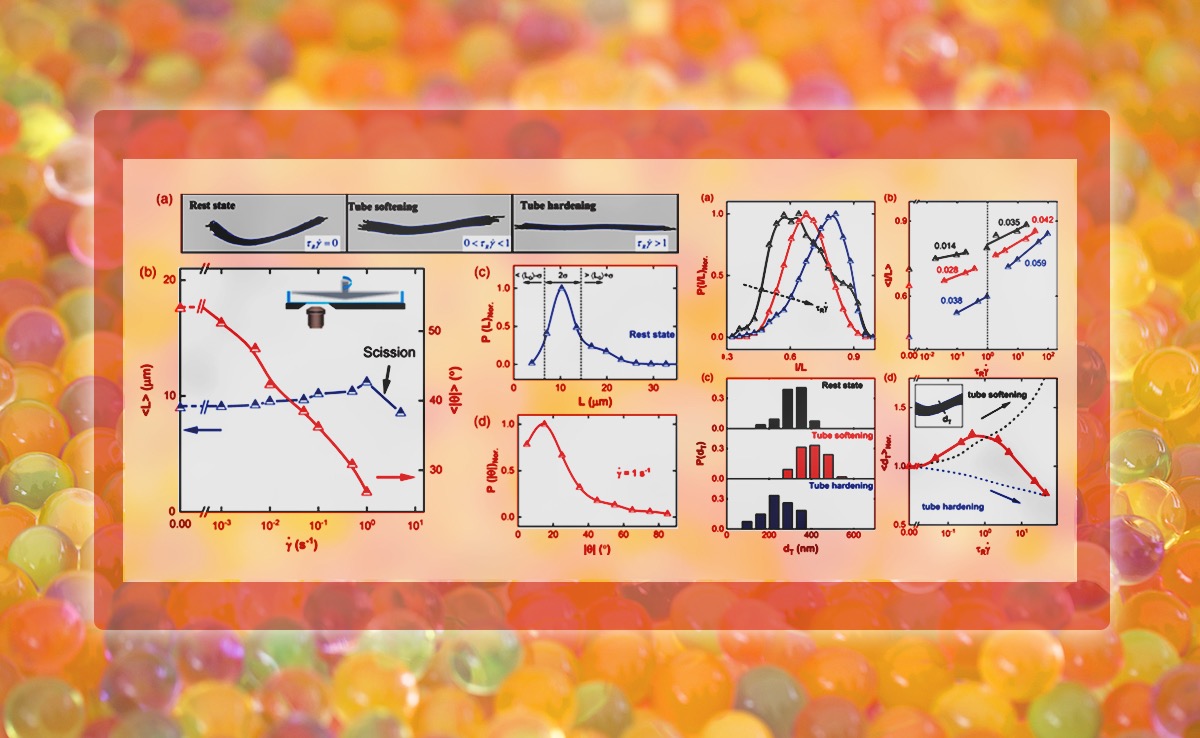 2025新澳门开门原料免费