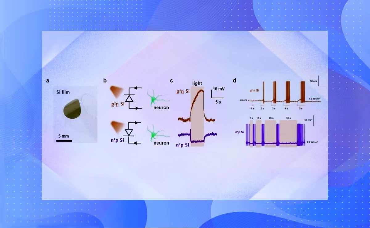 2025新澳门开门原料免费