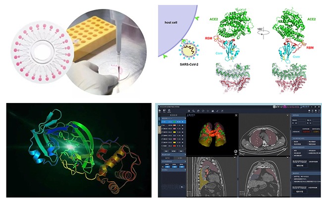 2025新澳门开门原料免费