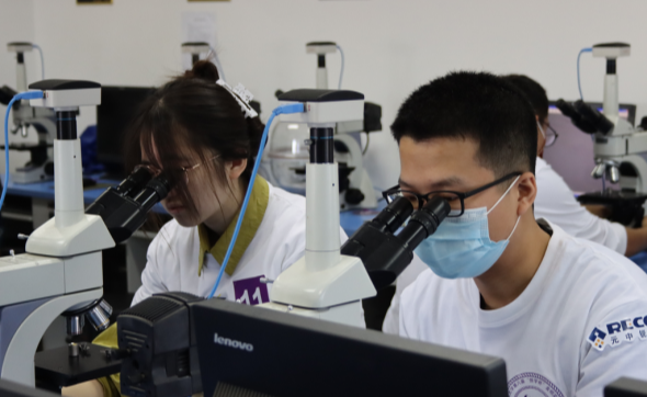 2025新澳门开门原料免费