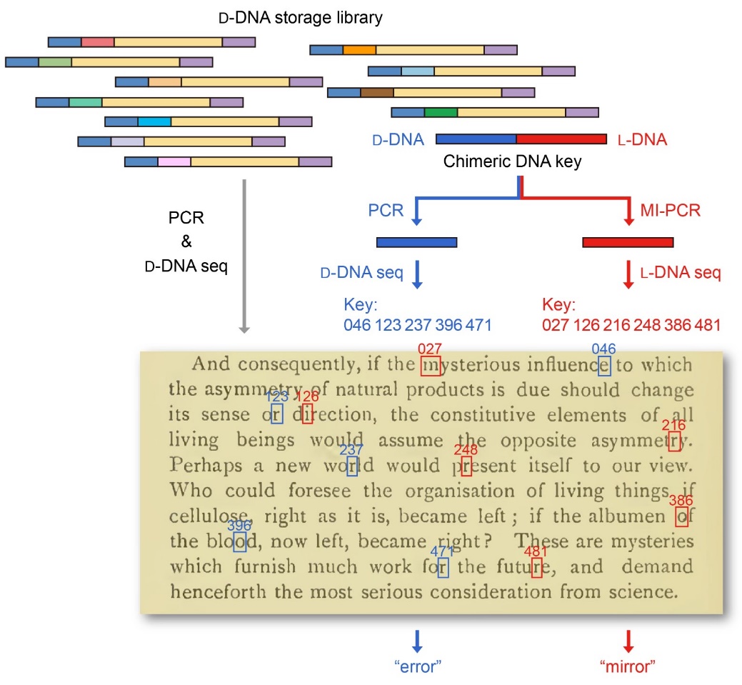 2025新澳门开门原料免费