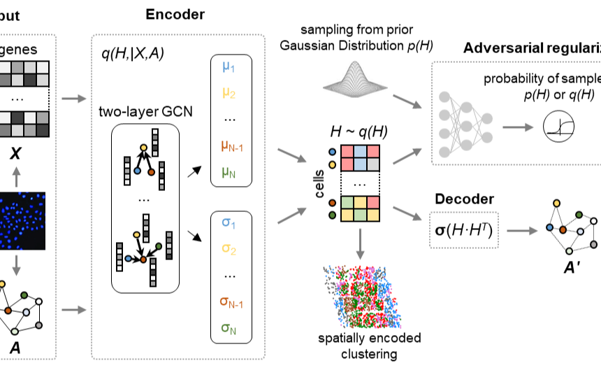 2025新澳门开门原料免费