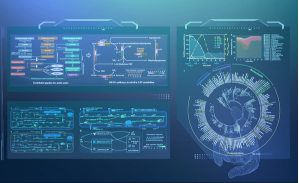 2025新澳门开门原料免费