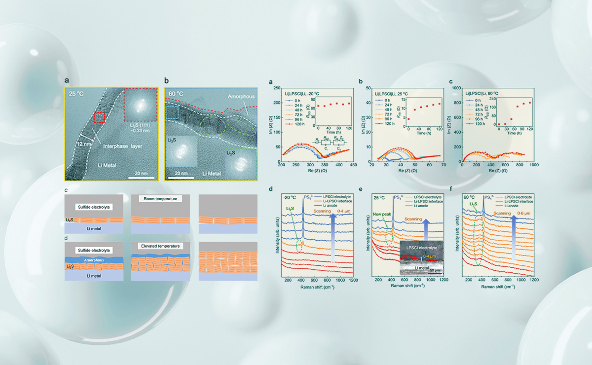 2025新澳门开门原料免费
