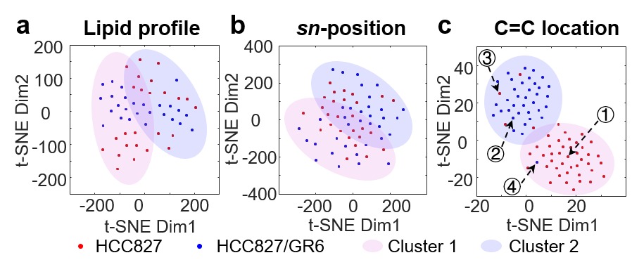 2025新澳门开门原料免费