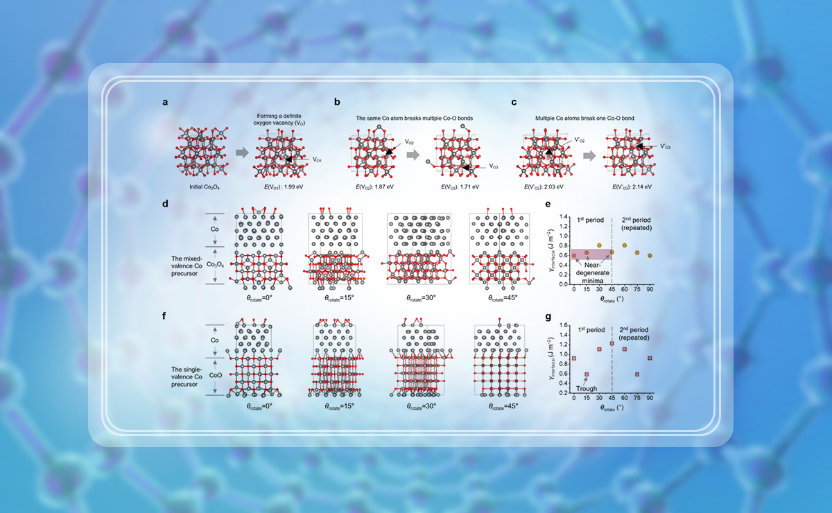 2025新澳门开门原料免费