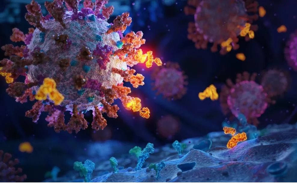 2025新澳门开门原料免费