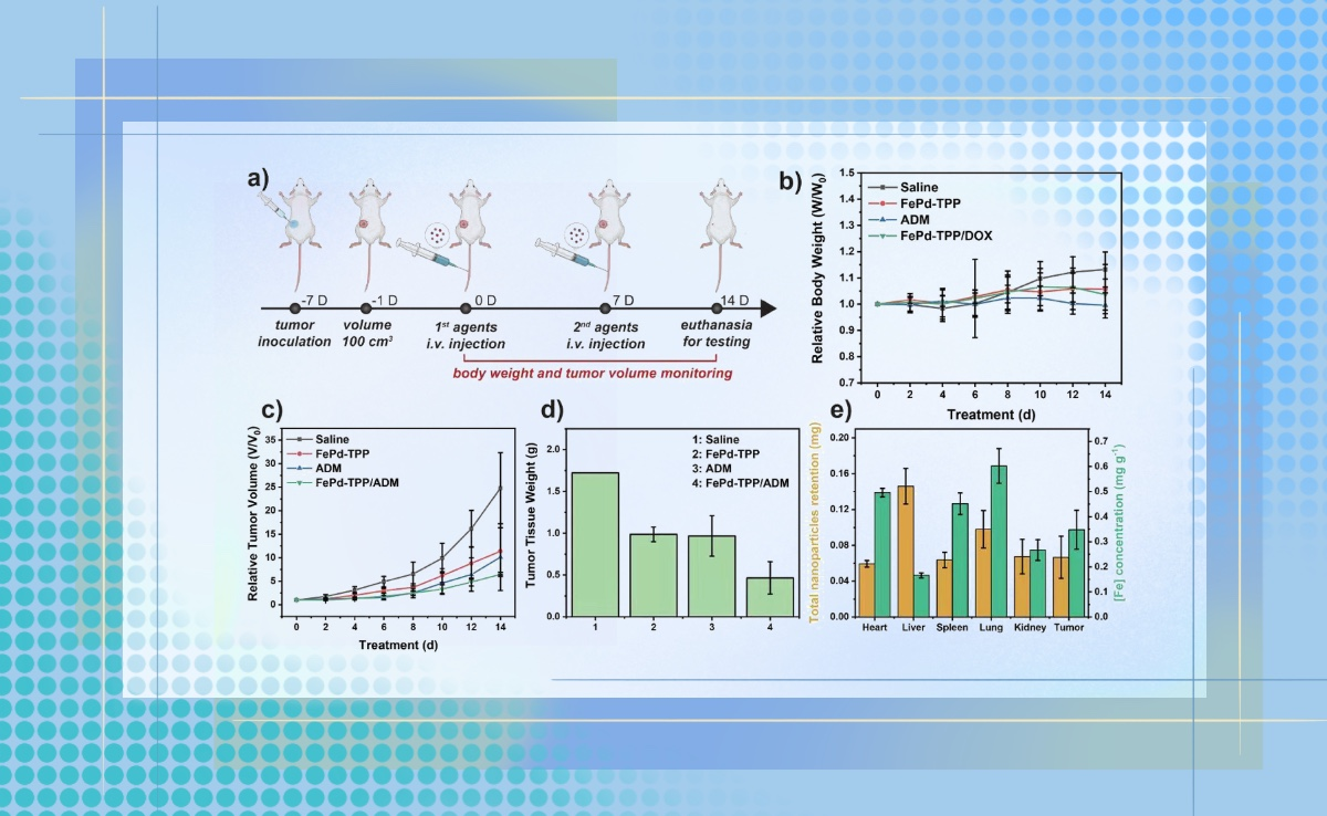 2025新澳门开门原料免费