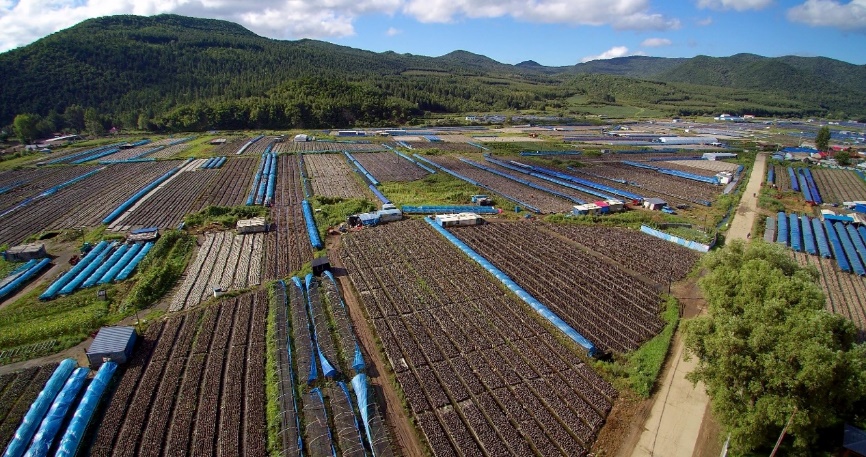 2025新澳门开门原料免费