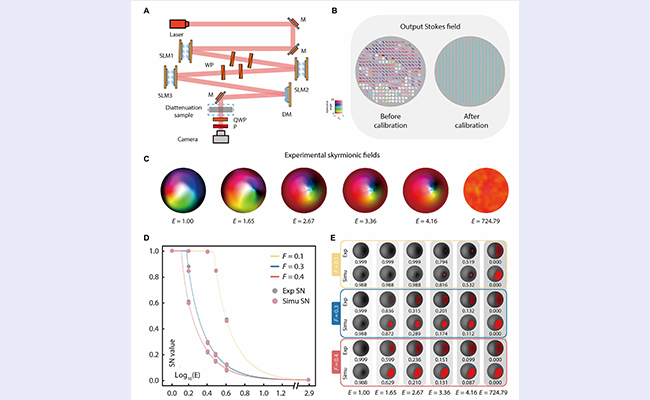 2025新澳门开门原料免费