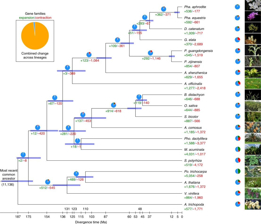 2025新澳门开门原料免费