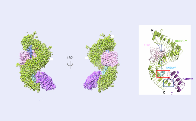 2025新澳门开门原料免费
