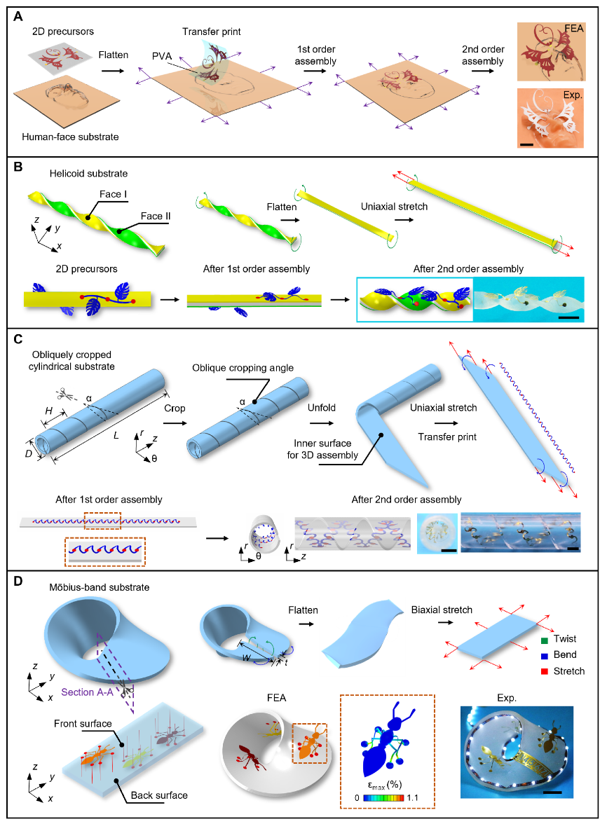 2025新澳门开门原料免费