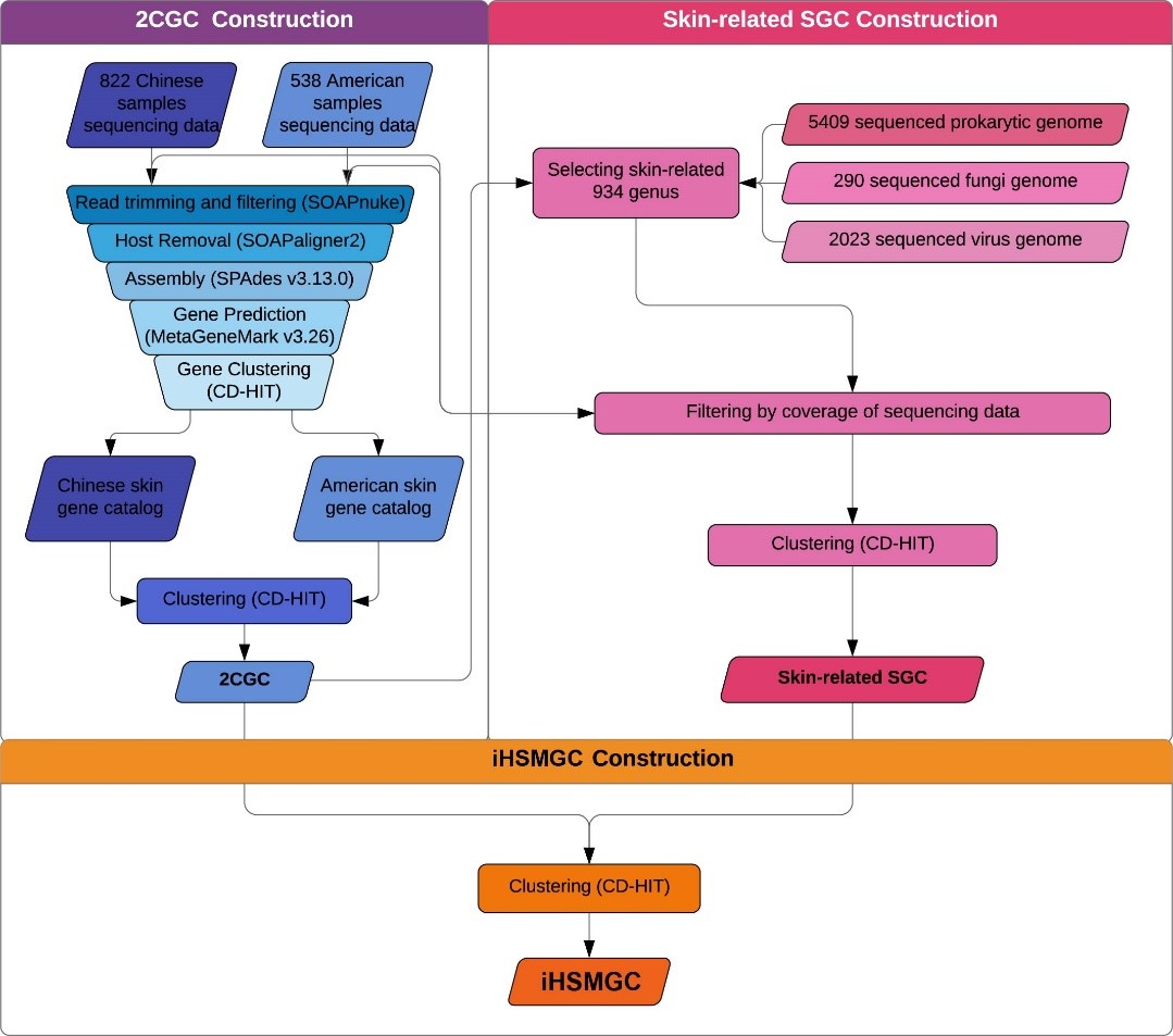 2025新澳门开门原料免费