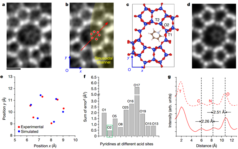 2025新澳门开门原料免费