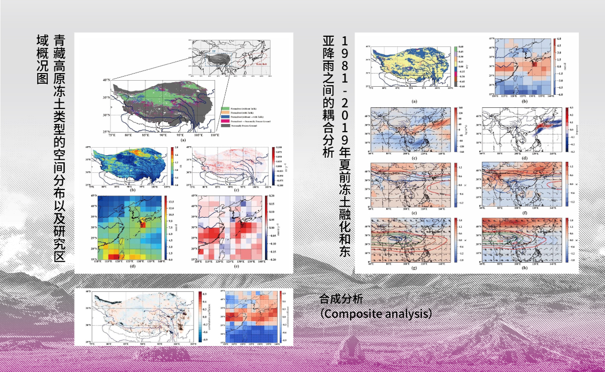 2025新澳门开门原料免费