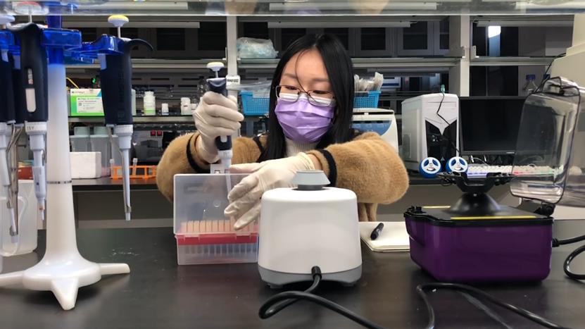 2025新澳门开门原料免费