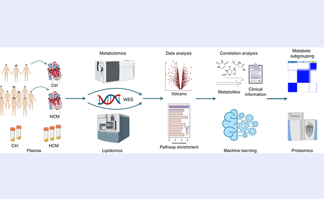 2025新澳门开门原料免费