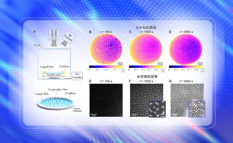 2025新澳门开门原料免费