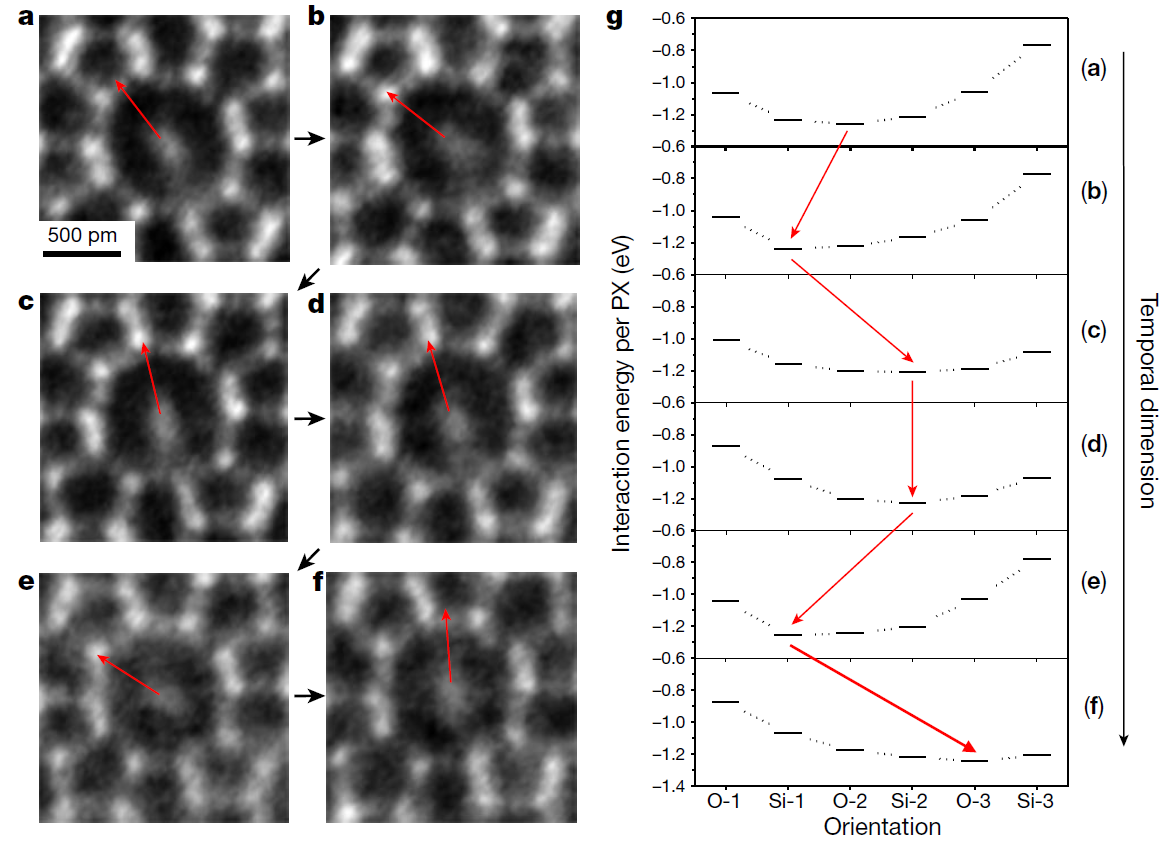 2025新澳门开门原料免费