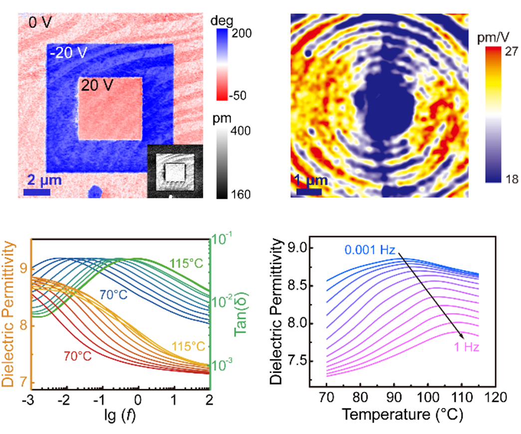 2025新澳门开门原料免费