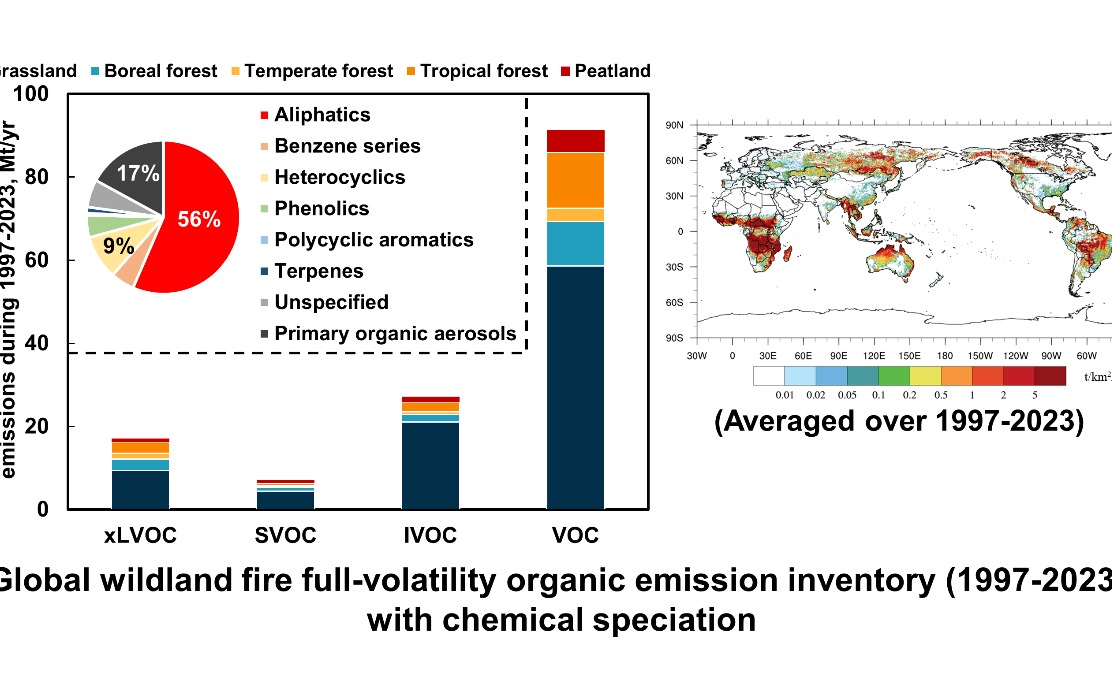 2025新澳门开门原料免费