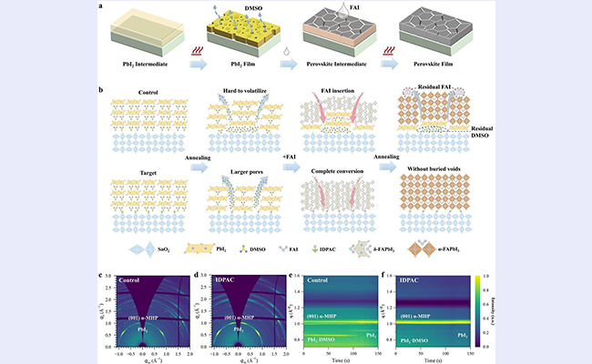 2025新澳门开门原料免费