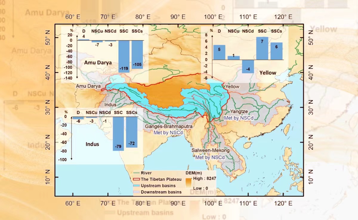 2025新澳门开门原料免费