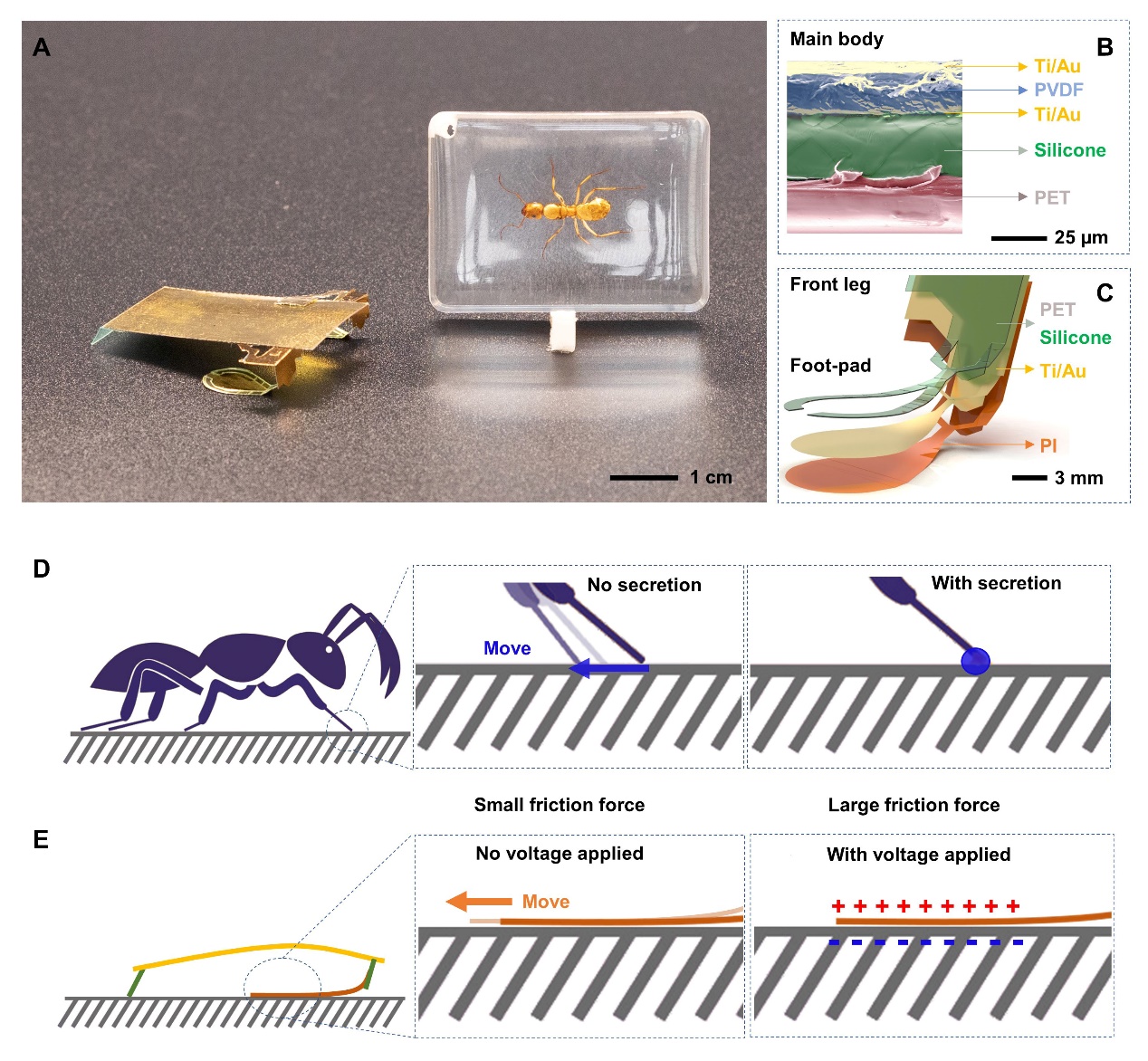 2025新澳门开门原料免费