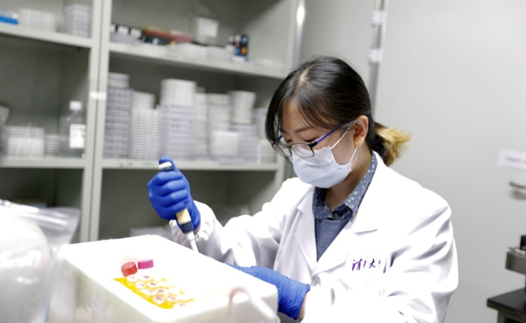 2025新澳门开门原料免费
