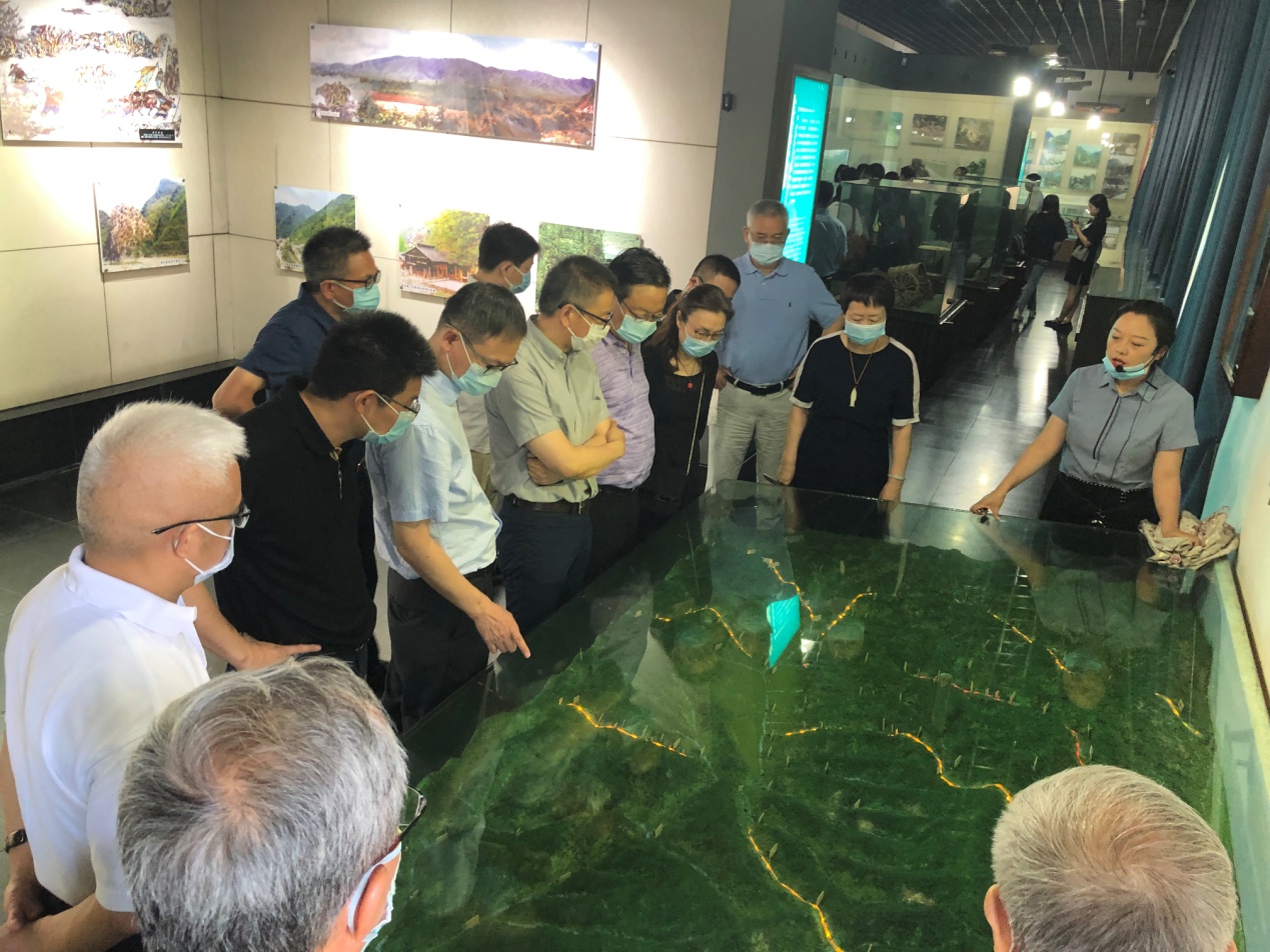 2025新澳门开门原料免费