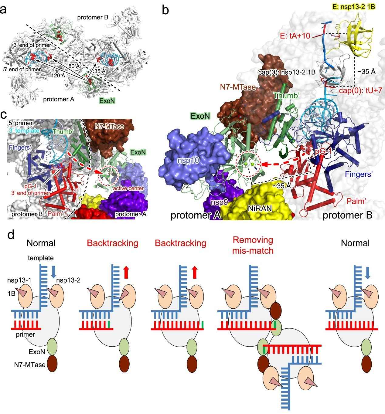 2025新澳门开门原料免费