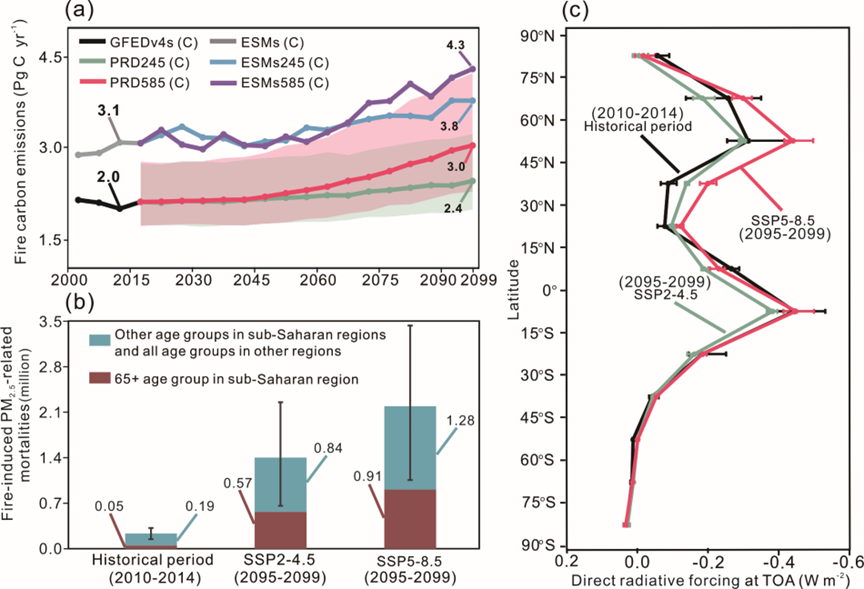 2025新澳门开门原料免费