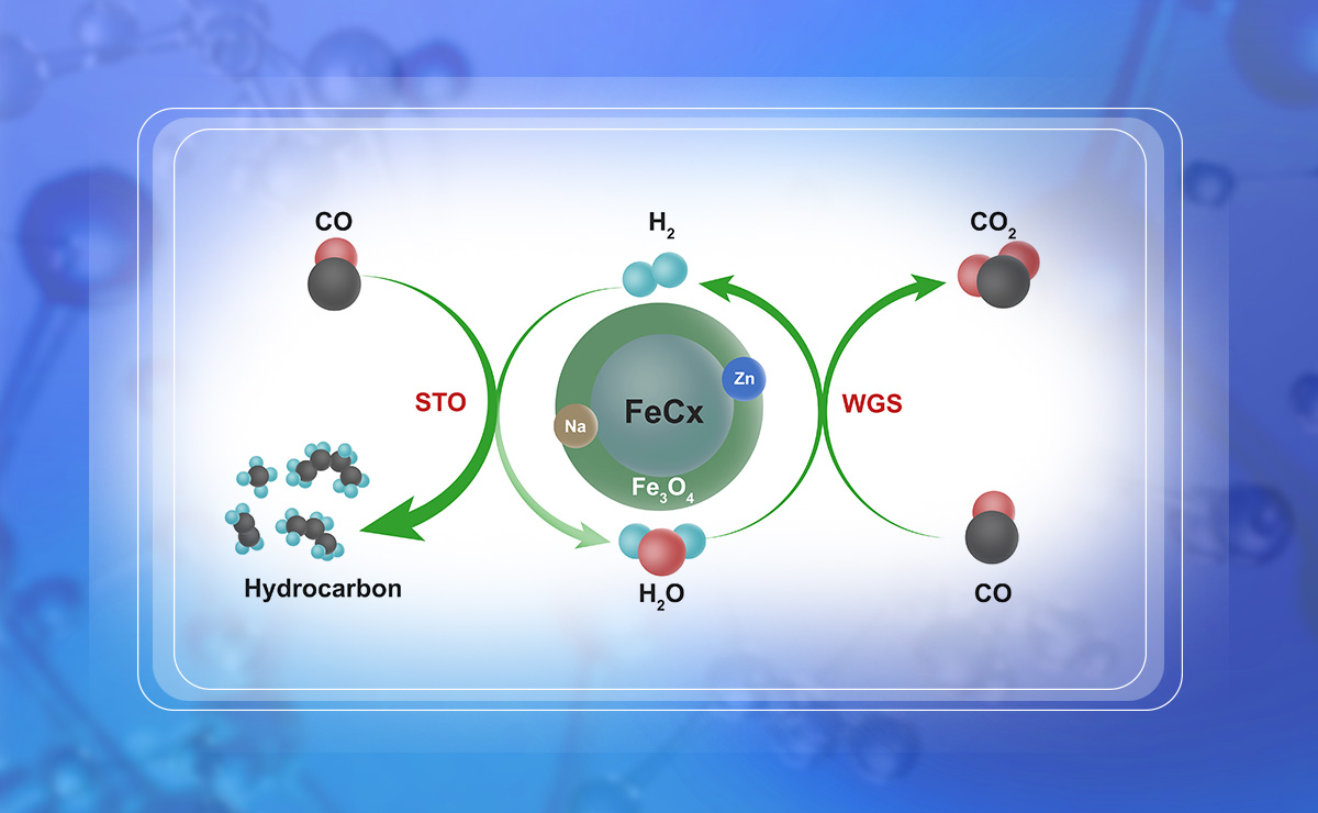 2025新澳门开门原料免费
