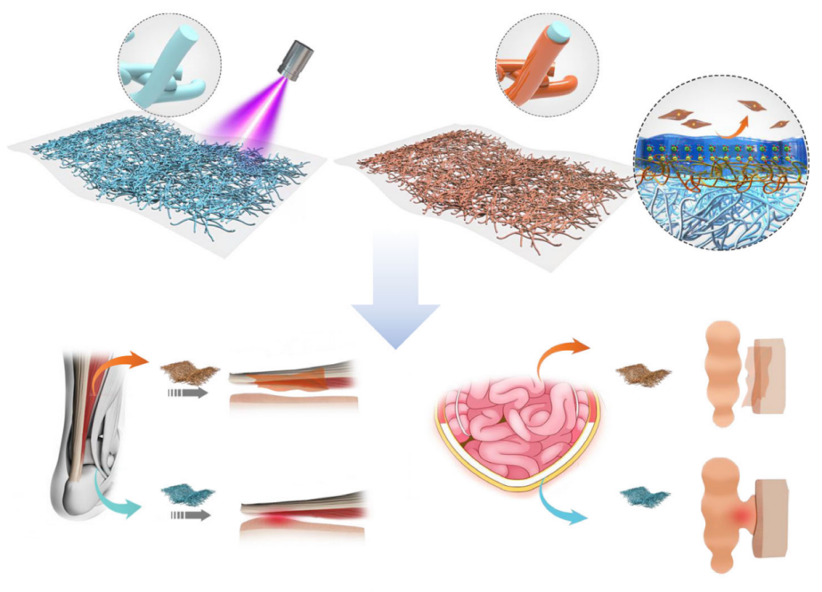 2025新澳门开门原料免费