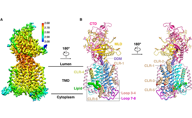 2025新澳门开门原料免费