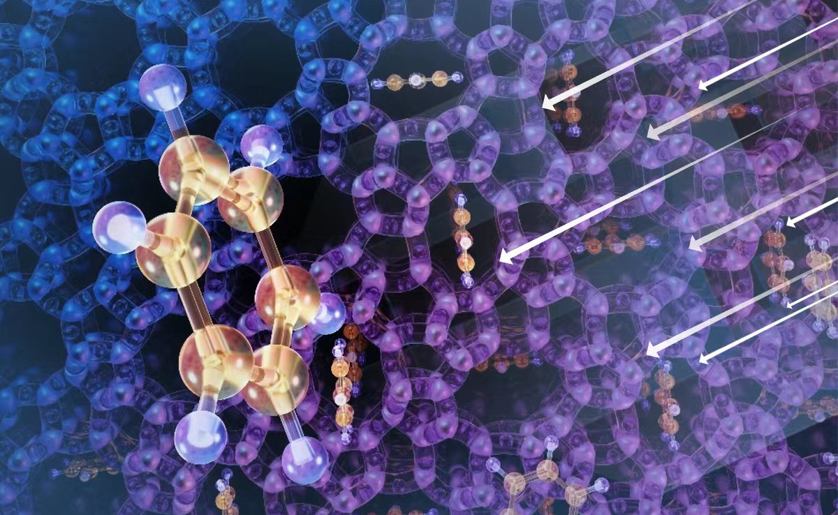 2025新澳门开门原料免费
