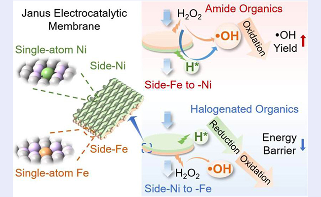 2025新澳门开门原料免费