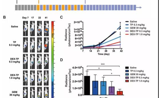 2025新澳门开门原料免费