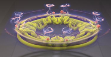 2025新澳门开门原料免费