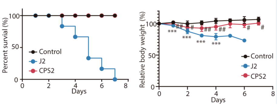 2025新澳门开门原料免费