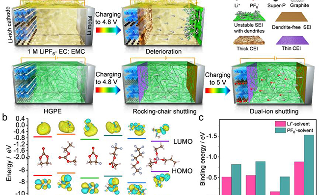 2025新澳门开门原料免费