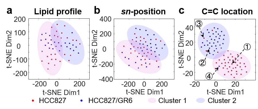 2025新澳门开门原料免费